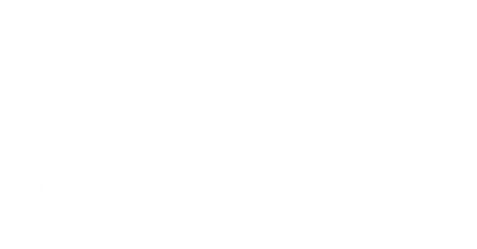 FSL1